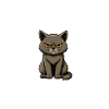 Schrödinger's Cat Plans Revenge