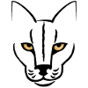 The cat's gaze
