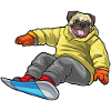 Carlin Snowboarder Snowboard