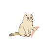 Chat mignon avec une expression mélancolique