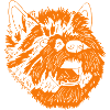 Cairn Terrier