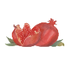 Pomegranate