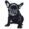 Sniffing Bulldog