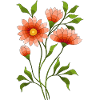 Fleur
