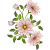 Fleur