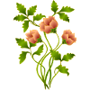 Fleur