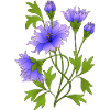 Fleur
