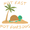 NOT FAST NOT FURIOUS