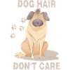 Dog Hair don't care