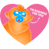 Snub-nosed monkey Monkey Chimpanzee