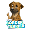 TEAM Border Terrier
