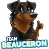 TEAM Beauceron - Black