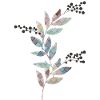 Collorful Plant