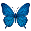 Blue Butterfly