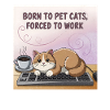 Cat Lover Worker