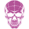 Big grinning skull