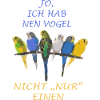 Dire oiseaux Perruche