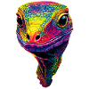 Monitor lizard, reptile, Komodo dragon, banded monitor lizard, lizard