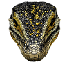Waran Echse Reptil Komodowaran Bindenwaran Lizard