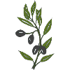 olive branch