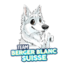 TEAM White Swiss Shepherd Dog