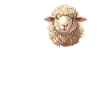 Sheep Sheep