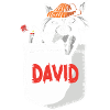 Raccoon David