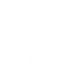 White Mexican skull