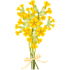 Cowslip Bouquet - Spring Illustration