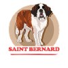 Chien Saint-Bernard Chien Saint-Bernard Cadeau