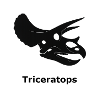 Scientific Triceratops Skull