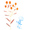 Fleurs néon et méduses bleues