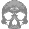 Skull gray and gloomy