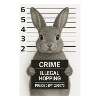 Criminal Rabbit