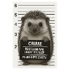 Criminal hedgehog