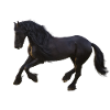 Cheval