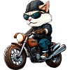 Motorcyclist Cat