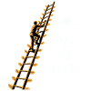 REACH YOUR DREAMS
