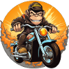 Singe Moto / Motard Singe