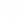 Ring Security Suit