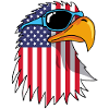 Eagle and American Flag