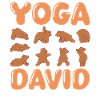 Cat Yoga David