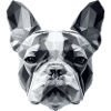 French Bulldog Low Poly Design