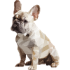 French Bulldog Low Poly Design
