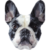 French Bulldog Low Poly Design
