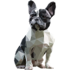 Bouledogue français Low Poly Design