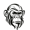 Chimpanzee Face