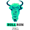 BULL RUN