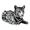 Tiger,leopard,sequins,glitter,black and white