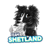 TEAM Shetland - Black Two-Tone